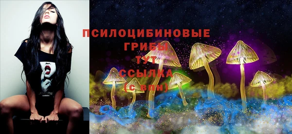 кокаин премиум Новозыбков