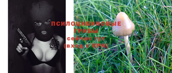 шишки Нефтекумск