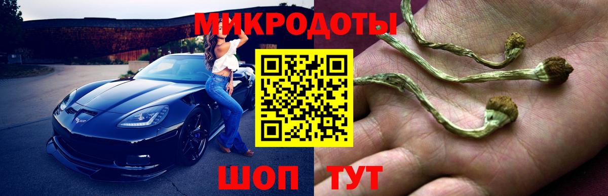 Галлюциногенные грибы ЛСД Кохма