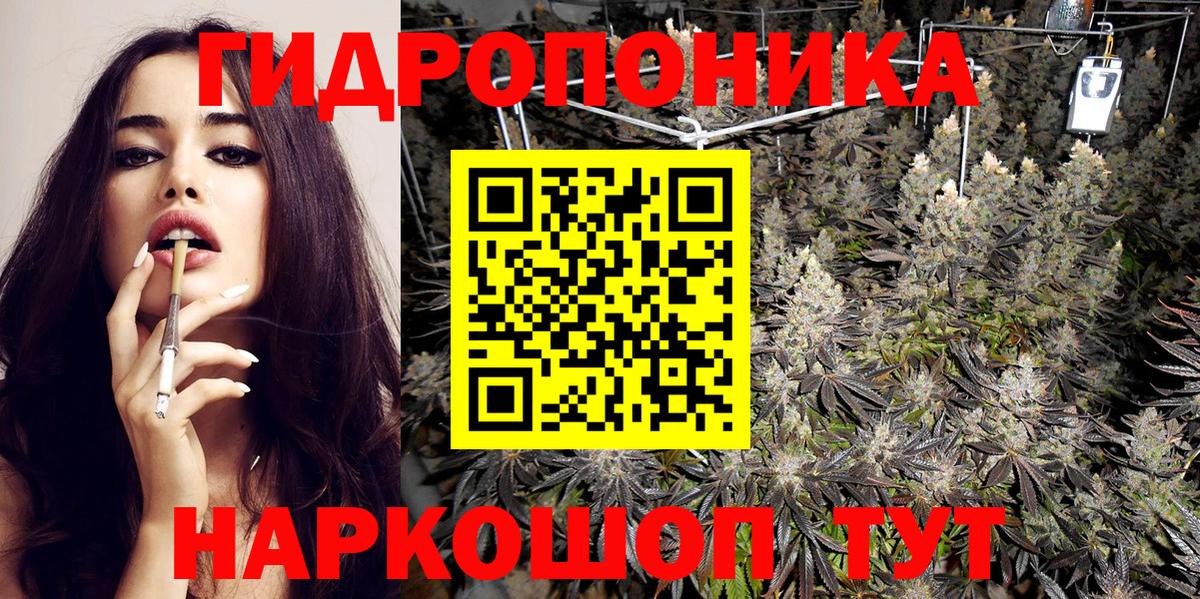 Гашиш Кохма